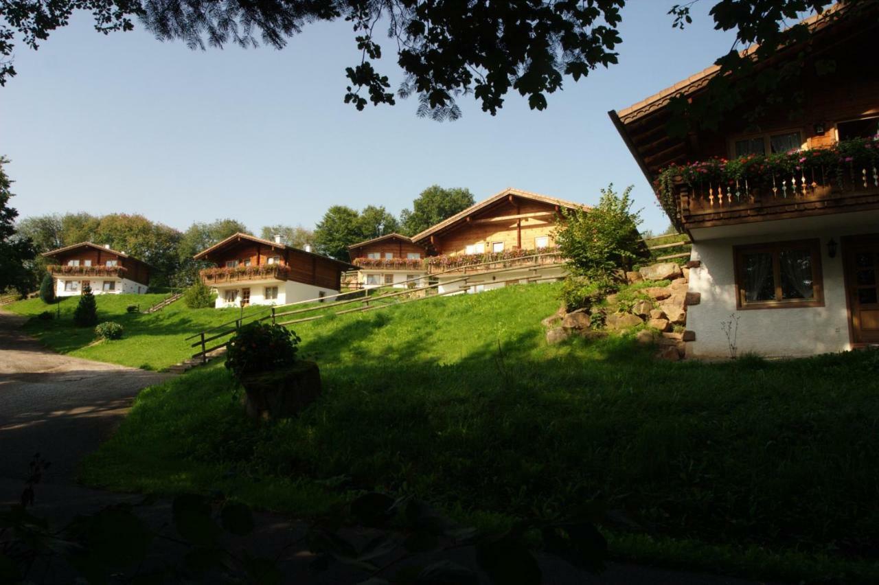 Blockhaus-Ferienpark Eisenschmitt Экстерьер фото